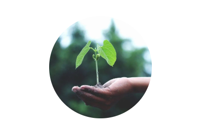 520·健康植保日丨擁抱綠色農(nóng)業(yè)，暢享健康生活