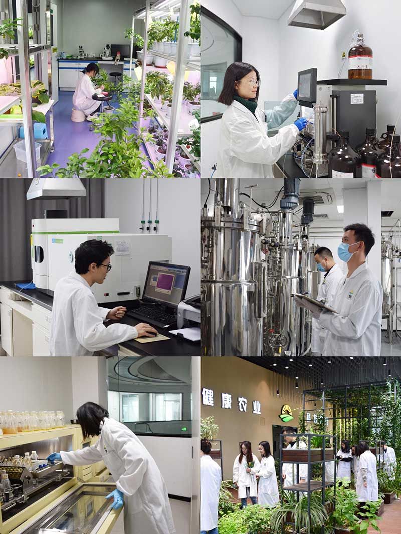 “全國科技工作者日”：推動農(nóng)業(yè)綠色高質(zhì)量發(fā)展，新朝陽科研人在路上